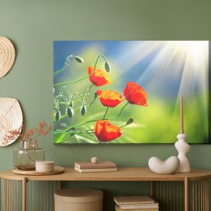Peinture sur toile Coquelicots Au Soleil – Image 5