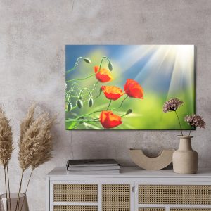 Peinture sur toile Coquelicots Au Soleil – Image 3