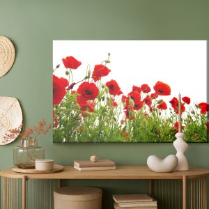 Peinture sur toile Coquelicots Rouges Sur Fond Blanc – Image 5