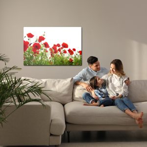Peinture sur toile Coquelicots Rouges Sur Fond Blanc – Image 7