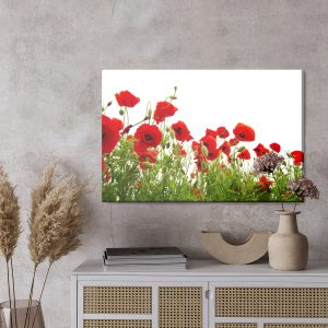 Peinture sur toile Coquelicots Rouges Sur Fond Blanc – Image 3