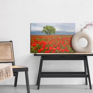 Peinture sur toile Un Arbre Au Milieu D'un Champ De Coquelicots – Image 6