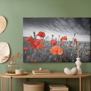 Peinture sur toile Coquelicots Sauvages Sur Un Pré Noir Et Blanc – Image 5