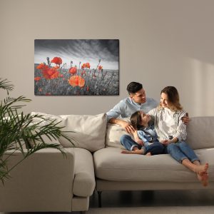 Peinture sur toile Coquelicots Sauvages Sur Un Pré Noir Et Blanc – Image 7