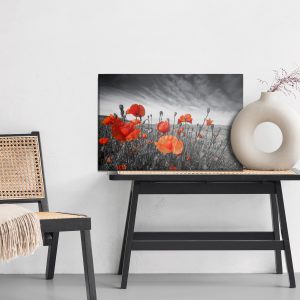 Peinture sur toile Coquelicots Sauvages Sur Un Pré Noir Et Blanc – Image 6