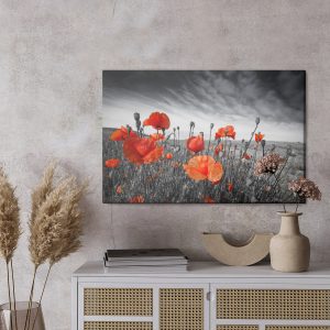 Peinture sur toile Coquelicots Sauvages Sur Un Pré Noir Et Blanc – Image 3