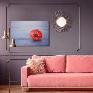Peinture sur toile Fleur De Pavot Sur Un Fond En Bois Bleu – Image 4