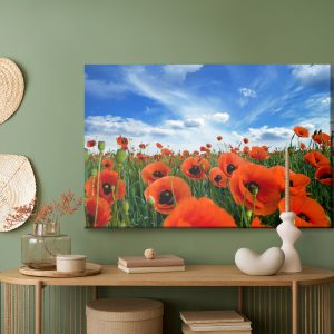 Peinture sur toile Coquelicots En Fleurs Dans Un Pré 3D – Image 5