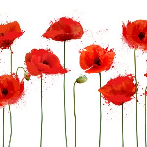 Peinture sur toile Coquelicots Rouges Dans Une Version Abstraite – Image 1
