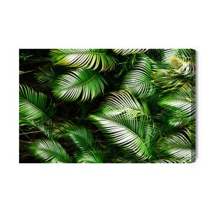 Peinture sur toile Feuilles De Palmier Vertes – Image 2