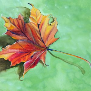Peinture sur toile Feuille D'érable D'automne Peinte À L'aquarelle – Image 1