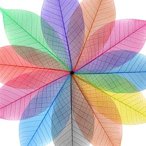 Peinture sur toile Feuilles Colorées Sous Une Forme Abstraite – Image 1