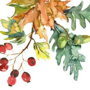 Peinture sur toile Feuilles Et Fruits D'automne Peints À L'aquarelle – Image 1