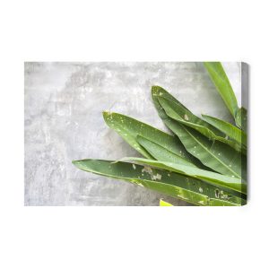 Peinture sur toile Feuilles Vertes Sur Fond De Béton – Image 2