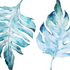 Peinture sur toile Feuilles De Monstera Bleues Peintes À L'aquarelle – Image 1