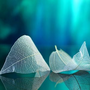 Peinture sur toile Feuilles À L'échelle Macro Avec Un Effet 3D – Image 1