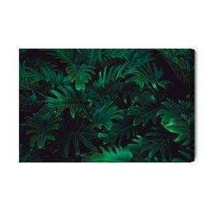 Peinture sur toile Buissons De Fougères Tropicales – Image 2