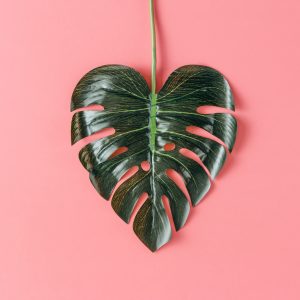 Peinture sur toile Feuille De Monstera En Forme De Coeur – Image 1