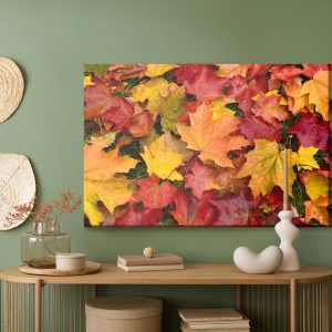 Peinture sur toile Feuilles D'érable Aux Couleurs De L'automne – Image 5