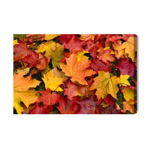 Peinture sur toile Feuilles D'érable Aux Couleurs De L'automne – Image 2