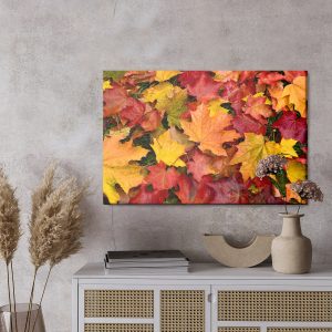 Peinture sur toile Feuilles D'érable Aux Couleurs De L'automne – Image 3