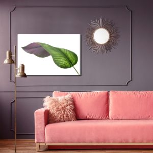 Peinture sur toile Feuille De Calathée – Image 4
