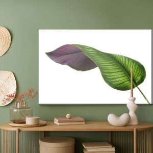 Peinture sur toile Feuille De Calathée – Image 5