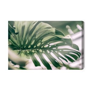 Peinture sur toile Feuille De Monstera Se Bouchent – Image 2