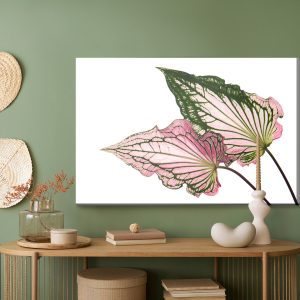 Peinture sur toile Feuilles De Caladium En Gros Plan – Image 5