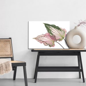 Peinture sur toile Feuilles De Caladium En Gros Plan – Image 6