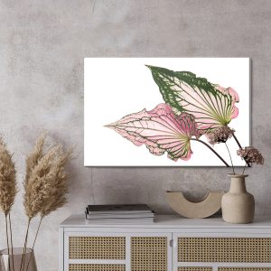 Peinture sur toile Feuilles De Caladium En Gros Plan – Image 3