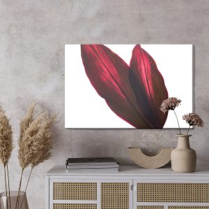 Peinture sur toile Feuilles De Buisson De Cordyline – Image 3