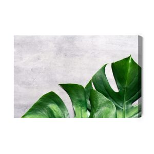 Peinture sur toile Feuilles De Monstera Sur Fond De Béton – Image 2