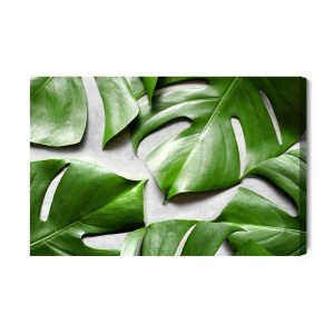 Peinture sur toile Feuilles De Monstera Sur Fond Gris – Image 2