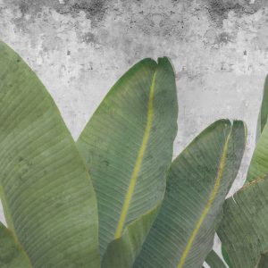 Peinture sur toile Feuilles Tropicales Sur Fond De Béton – Image 1