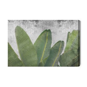 Peinture sur toile Feuilles Tropicales Sur Fond De Béton – Image 2