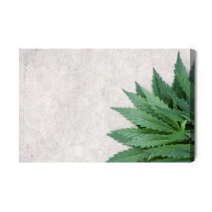Peinture sur toile Feuilles Vertes Sur Un Fond De Béton Gris – Image 2
