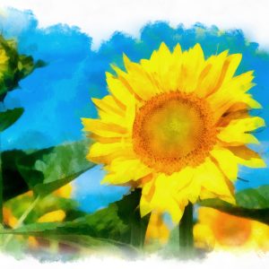 Peinture sur toile Tournesols Comme Peints À L'aquarelle – Image 1