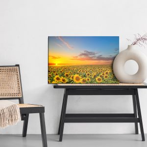 Peinture sur toile Coucher De Soleil Sur Un Champ De Tournesols – Image 6