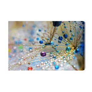 Peinture sur toile Pissenlit, Gouttes Colorées – Image 2