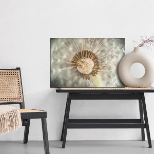 Peinture sur toile Gros Plan De Pissenlit – Image 6