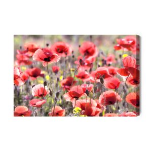 Peinture sur toile Coquelicots Au Soleil – Image 2