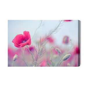 Peinture sur toile Coquelicots Délicats – Image 2