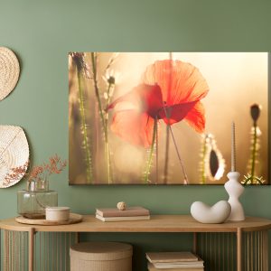 Peinture sur toile Coquelicots Au Soleil – Image 5