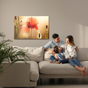 Peinture sur toile Coquelicots Au Soleil – Image 7