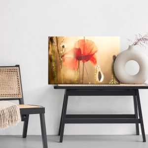 Peinture sur toile Coquelicots Au Soleil – Image 6