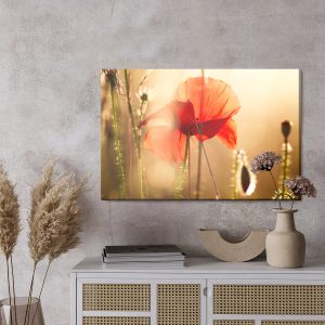 Peinture sur toile Coquelicots Au Soleil – Image 3