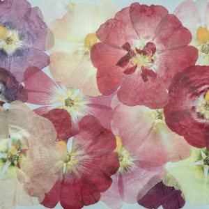 Peinture sur toile Belles Fleurs Colorées – Image 1