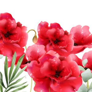 Peinture sur toile Beaux Coquelicots Dans Un Style Rétro – Image 1