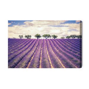 Peinture sur toile Champ De Lavande – Image 2